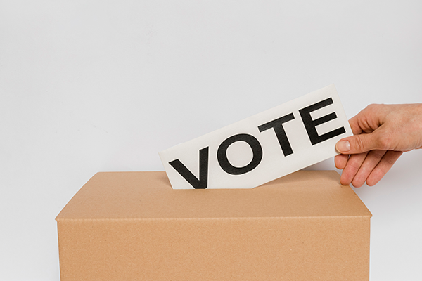 Delegate Elections